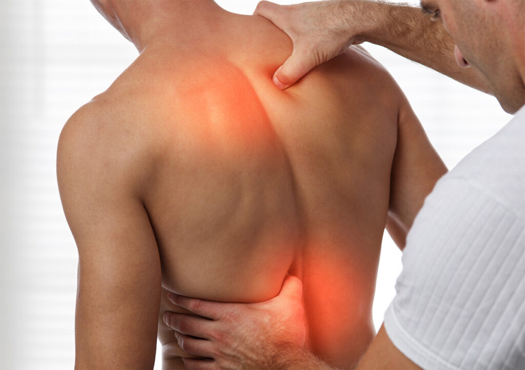 Understanding the Science of Physiotherapy - Enhancing Movement, Healing Lives