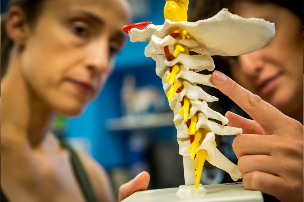 the Power of Physiotherapy