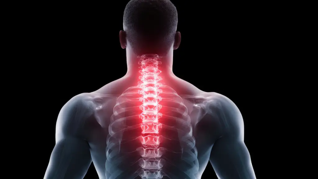 GJPHealth exercises to relieve back pain